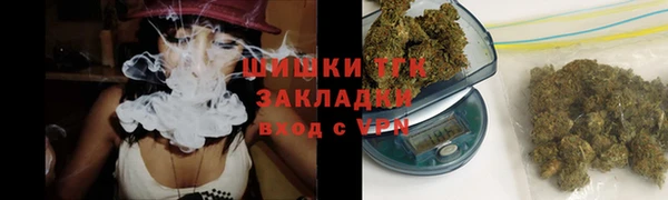 гашик Алексеевка