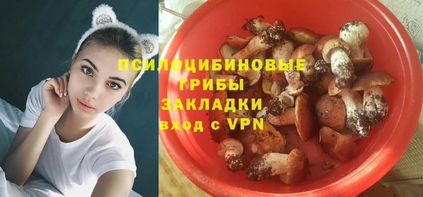ALPHA-PVP Алексин