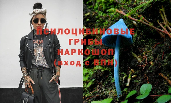 героин Алзамай