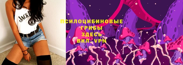 гашик Алексеевка