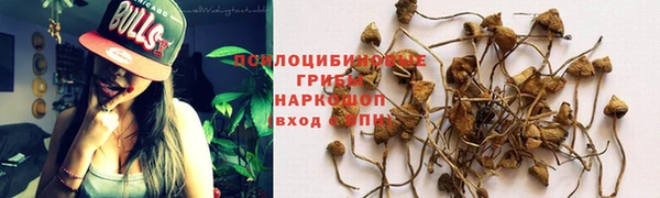 героин Алзамай
